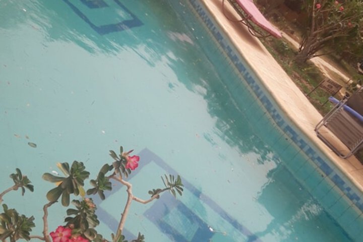 Pool 64 of 82