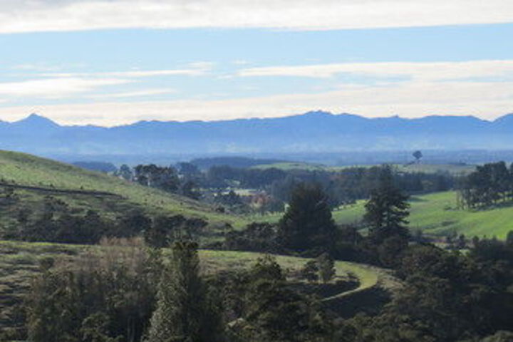 View from Hotel