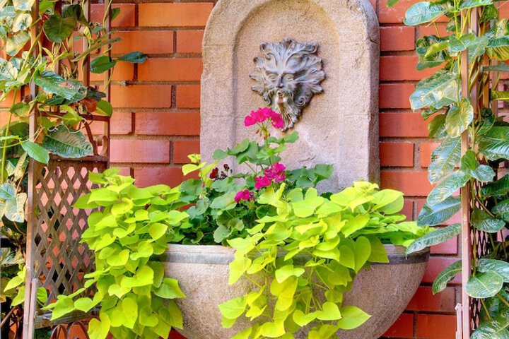 Courtyard