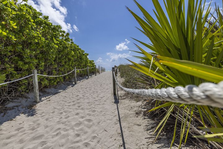 Beach