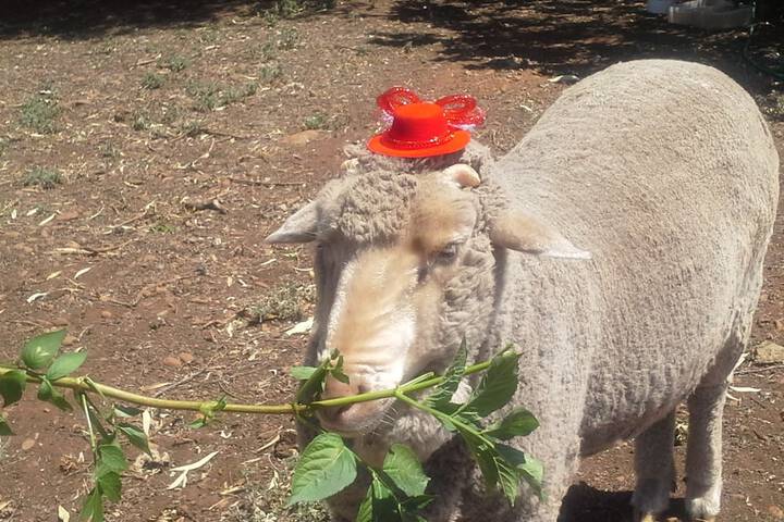 Property Grounds 30 of 38