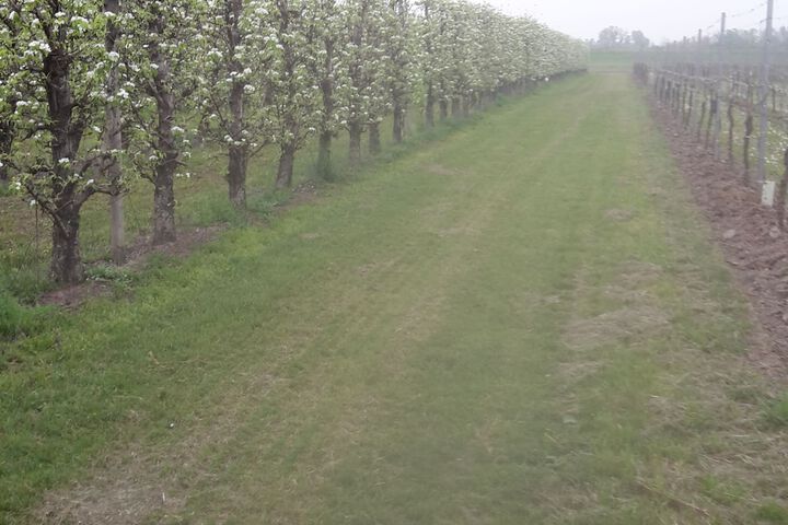 Property Grounds 36 of 52