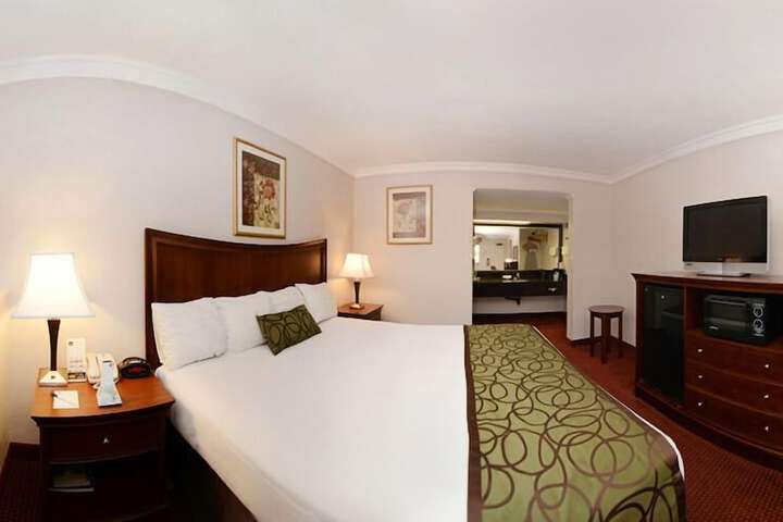Standard | King Bed (3 of 7)