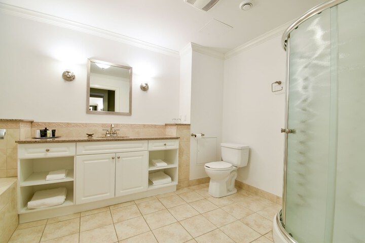 Suite Premium King Bed (5 of 6)