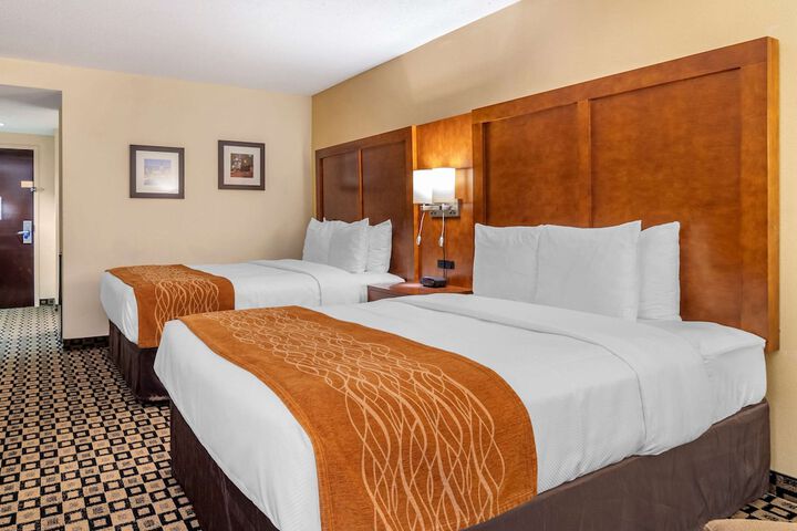 2 Queen Beds (4 of 11)
