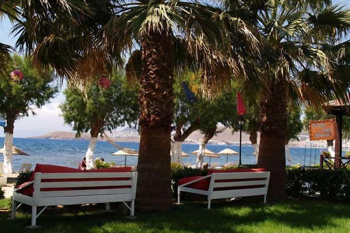 Beach 66 of 85