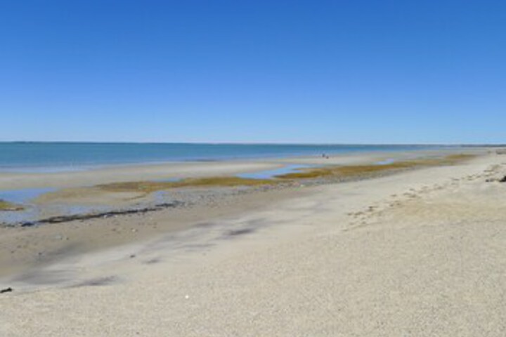 Beach 14 of 56