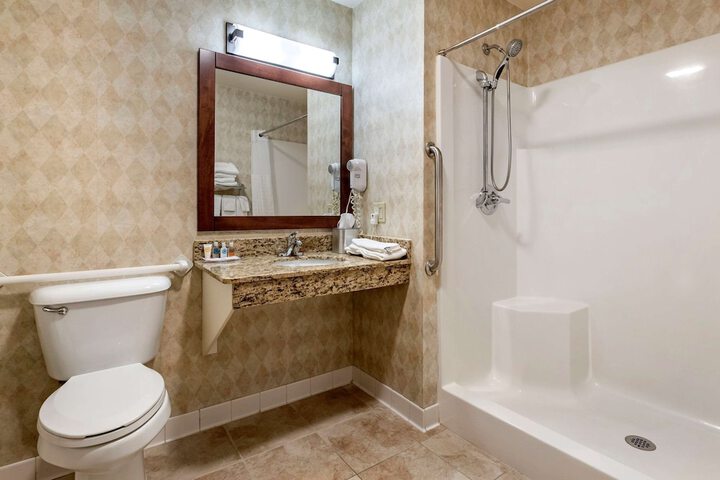 1 King Bed Accessible (3 of 8)