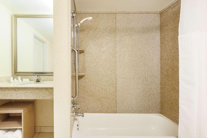 1 King Accessible Wtih Roll in Shower (2 of 10)