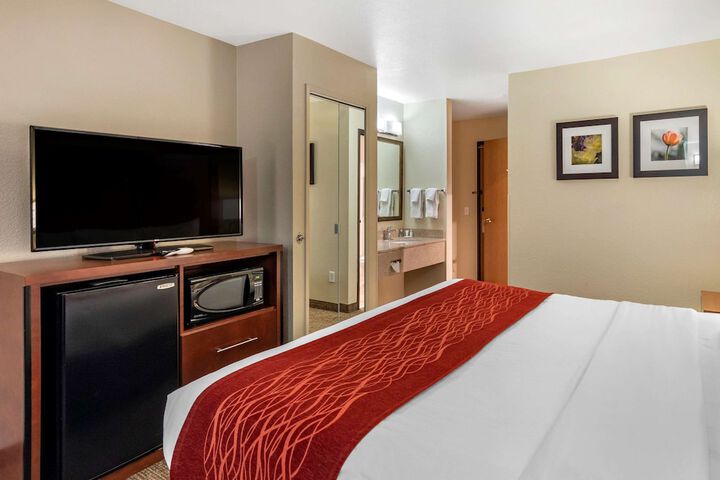 1 King Bed (7 of 20)