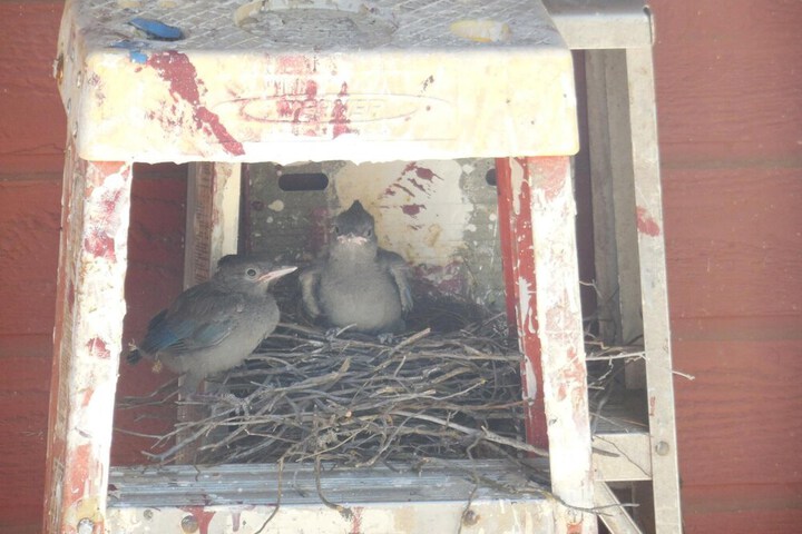 Hotel Interior 11 of 40