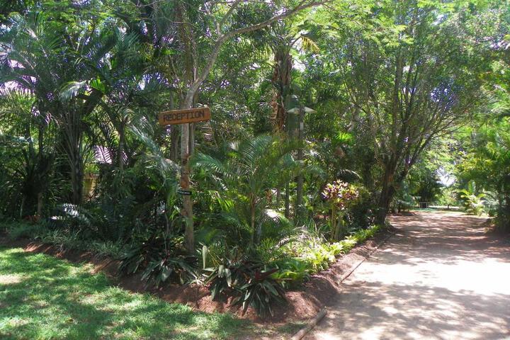 Photo 29