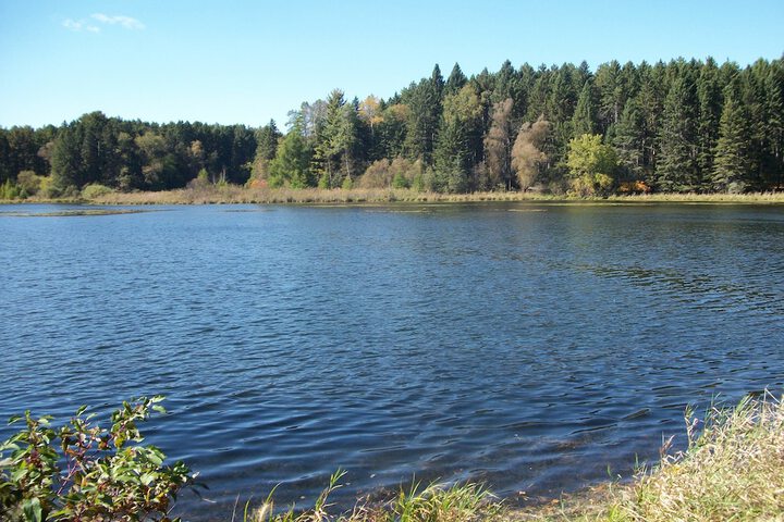 Fishing