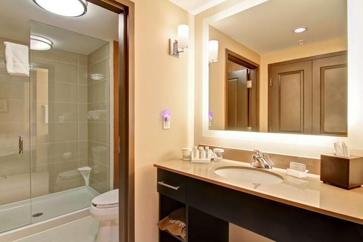 1 King Mobilty Hearing Accessible Roll in Shower Studio (19 of 21)