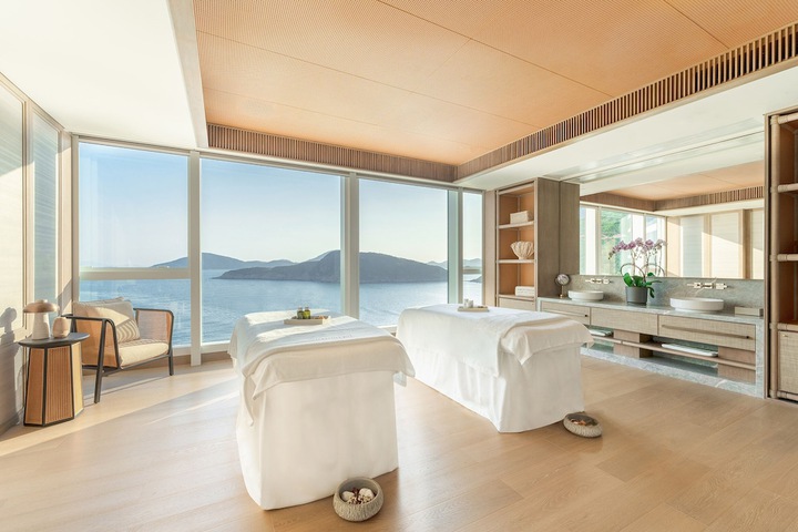 Wellness Treatments