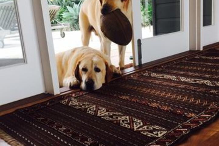 Property Grounds 20 of 22