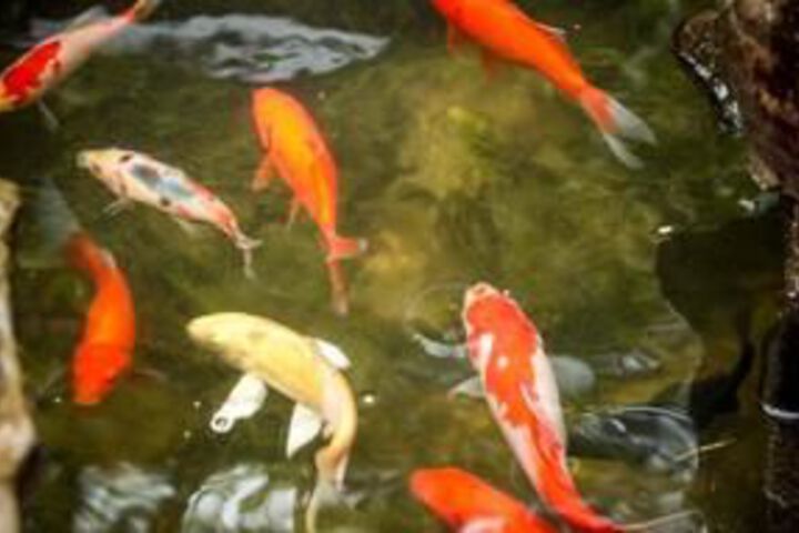 Property Grounds 4 of 23