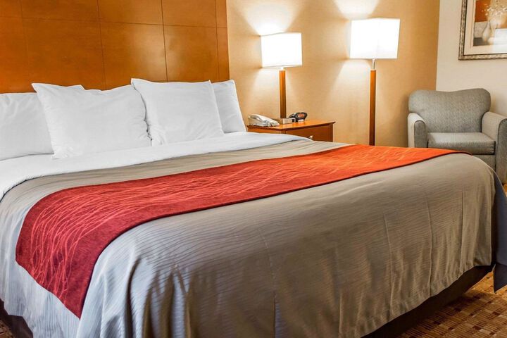 1 King Bed (11 of 16)