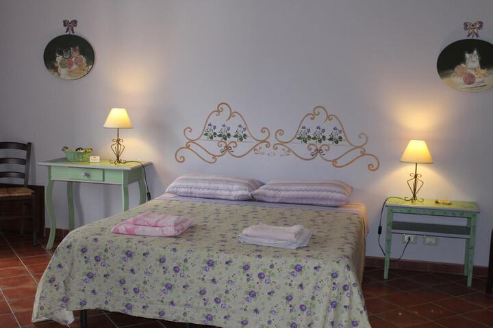 Room 12 of 41