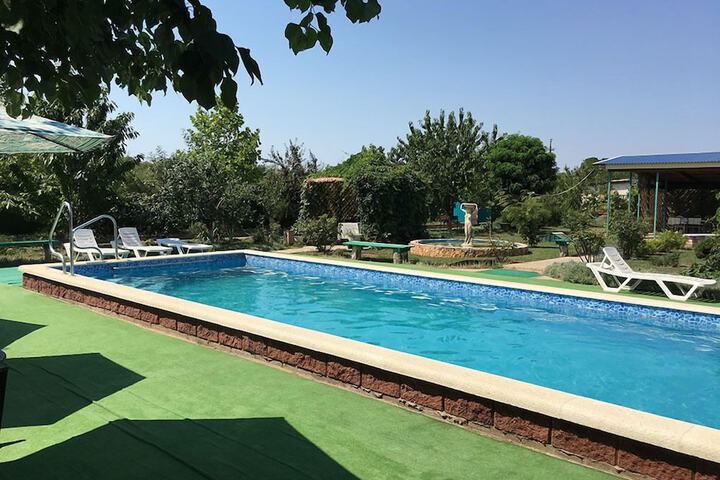 Pool 26 of 28