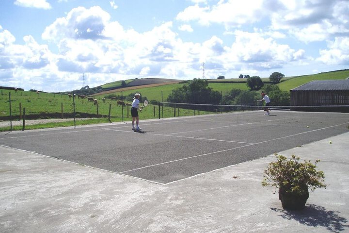 Sport court