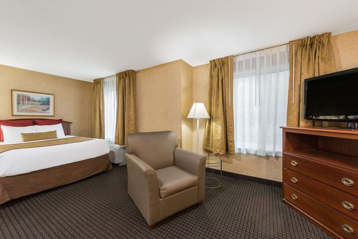 Studio Suite King Bed (7 of 16)