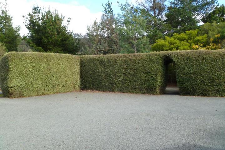 Photo 25