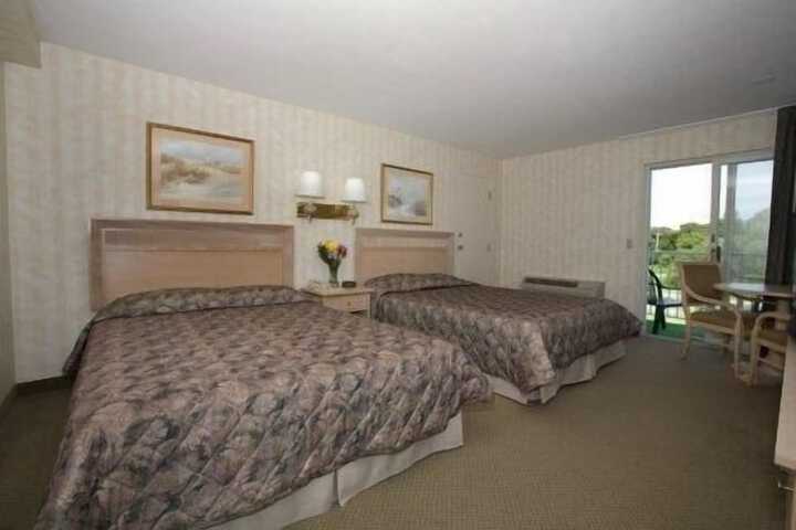 Standard 2 Double Beds No Balcony (3 of 6)