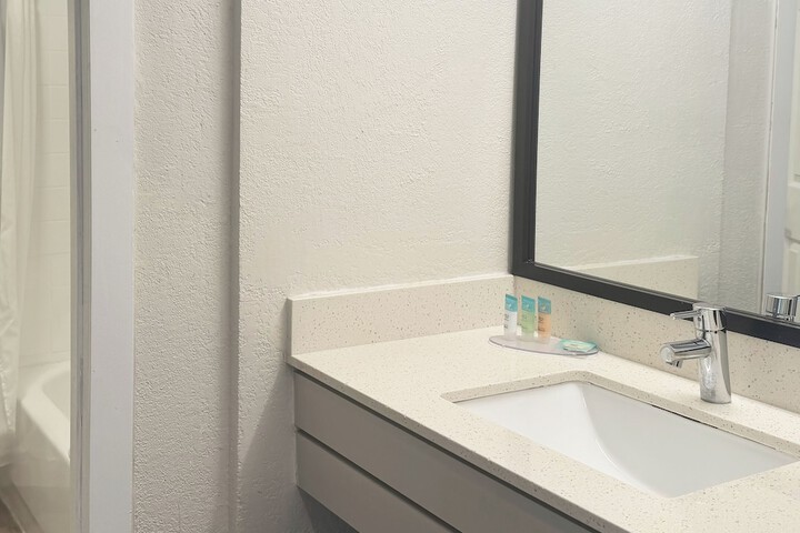 1 King Bed Mobility Accessible Bathtub with Grab Bars (12 of 24)