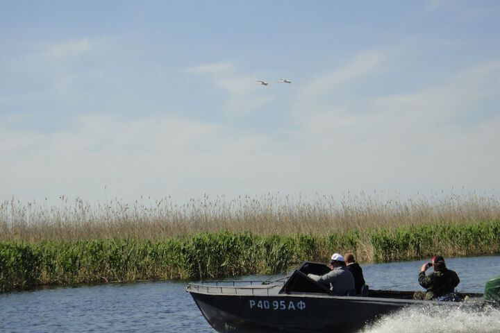 Water Sports 19 of 45