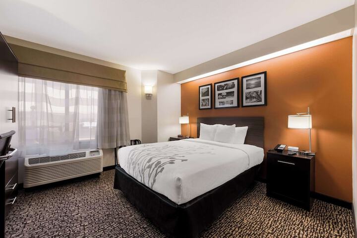 1 Queen Bed (8 of 18)