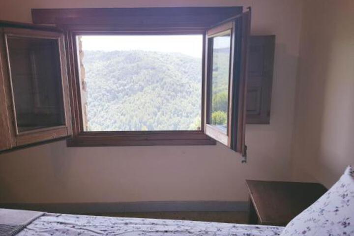 General 39 of 39