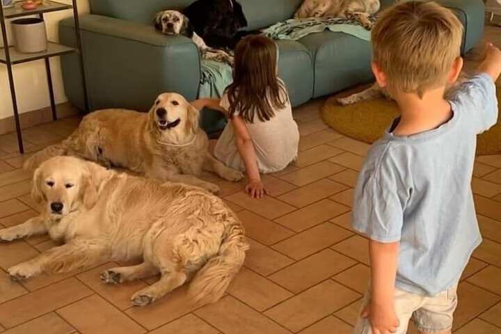 Pet Friendly 83 of 206