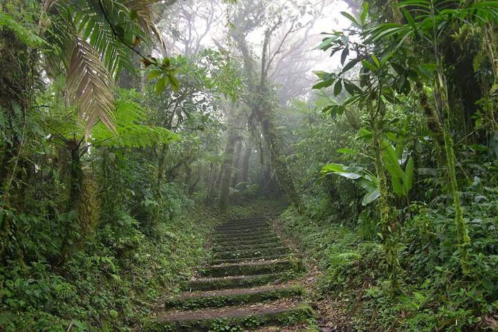 Hiking