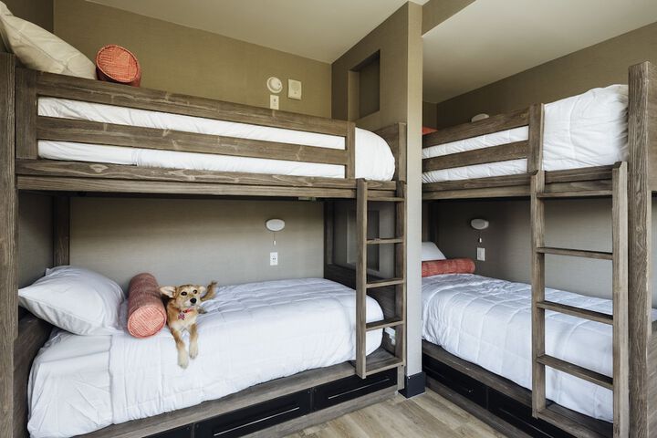 Pet-friendly