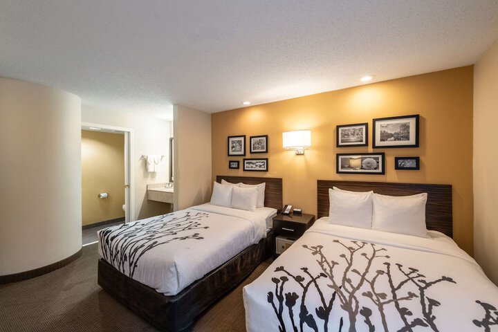 Standard Room, King or Two Doubles (6 of 7)