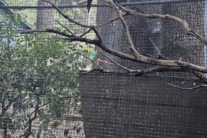 Hotel Exterior 119 of 120