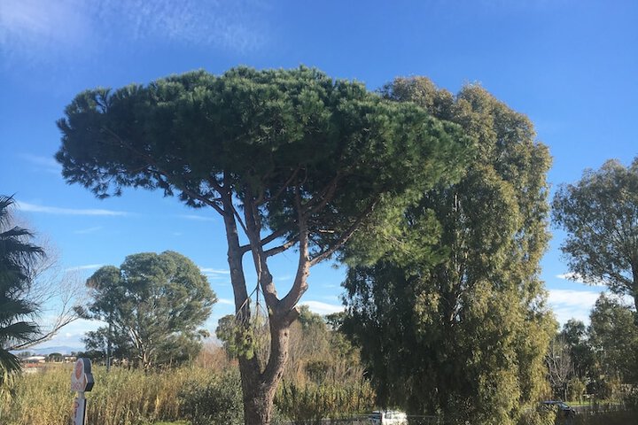Hotel Exterior 4 of 34