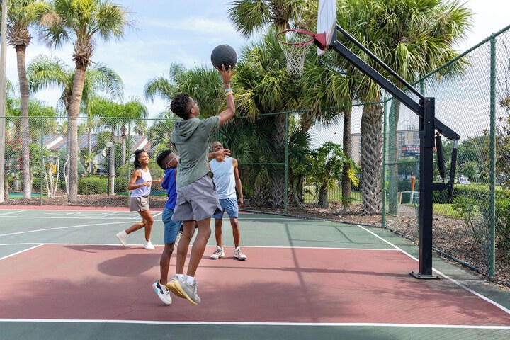 Basketball court