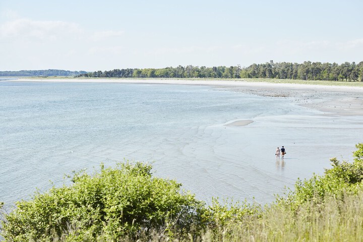 Beach 75 of 91