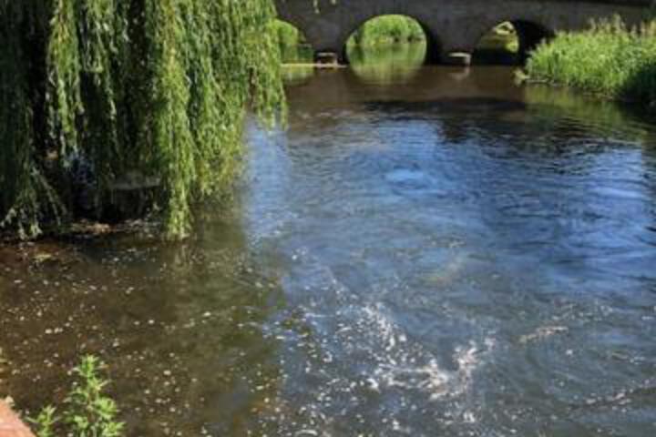 Photo 14