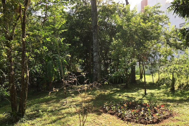 Property Grounds 366 of 487
