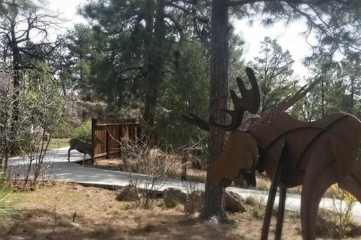 Property Grounds 20 of 26