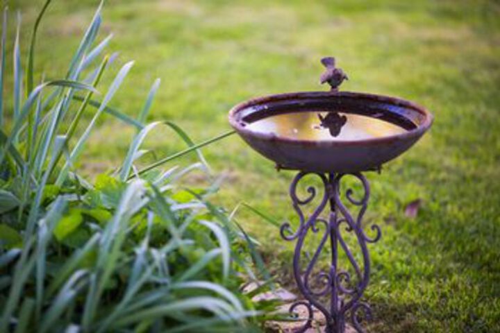 Property Grounds 137 of 148