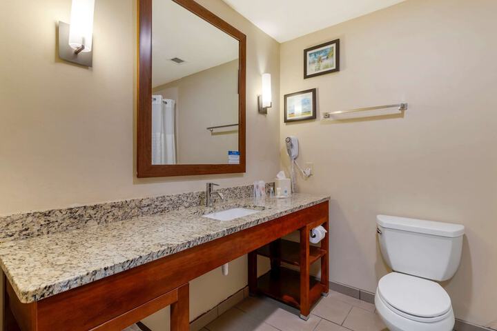 1 King Bed Suite (12 of 14)