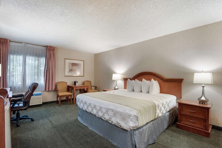 1 King Bed (17 of 39)