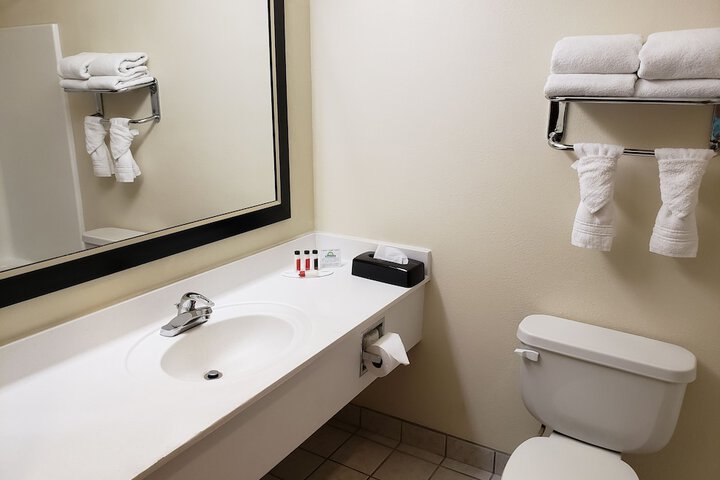 Bathroom sink