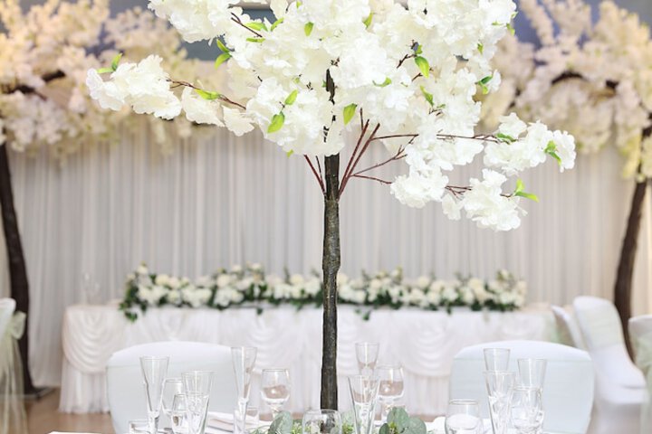 Wedding/Banquet 24 of 36