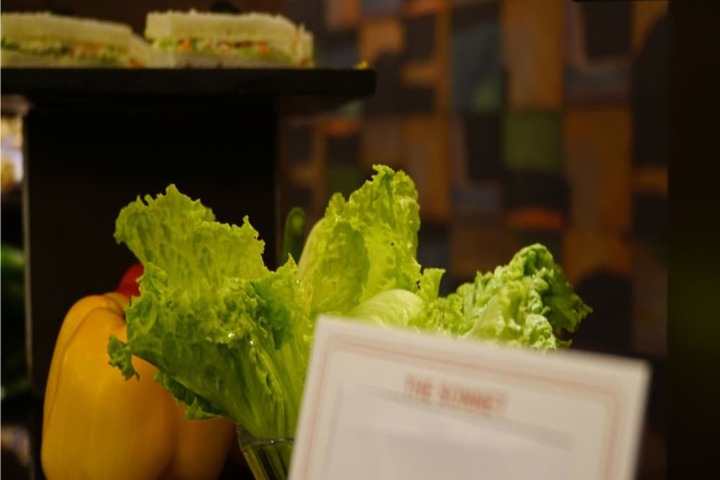 Dining 58 of 95