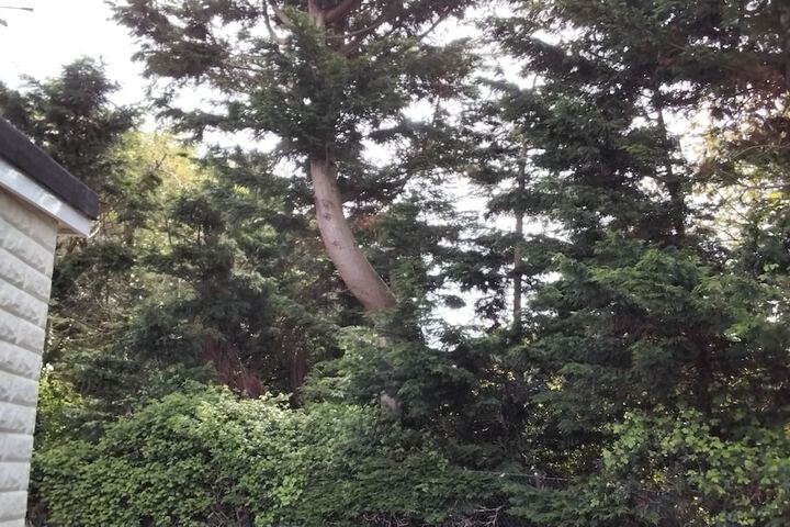 Property Grounds 17 of 27